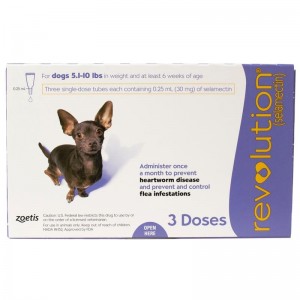 Revolution for Ex Small Dog 5-10lbs, 3 Pack 