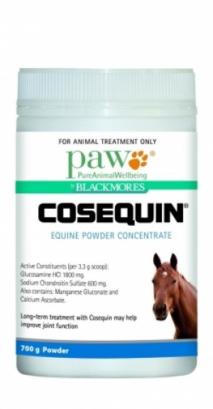 Paw Cosequin Equine