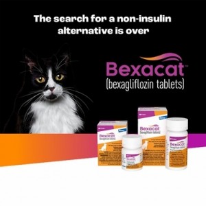 BEXACAT Flavored tablets for Cats 15mg 30 Tab
