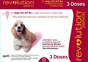 Revolution for Dog 20-40 lbs, 3 Pack 