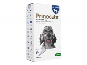 Prinocate 400/100mg Spot-on Solution XL Dog 3 X 4ml