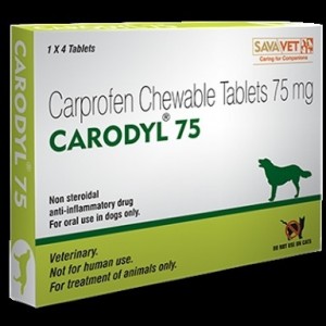 Rimadyl Generic Chewable (Carprofen) 75MG, 30 Tablets