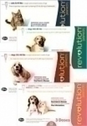 Revolution for Puppy 0-5 lbs - 3 Pack