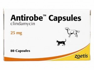Antirobe (clindamycin) for Dogs and Cats 25mg, 80 Caps