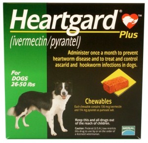 Heartgard Plus Brand (Ivermectin) for Medium Dog 26-50 lbs, 6 Ta