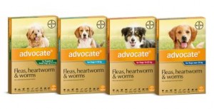 Advocate Dog 22-55lbs 2.5ml 3 pack