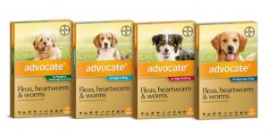 Advocate Dog 8-22lbs 1.0ml 3 pack