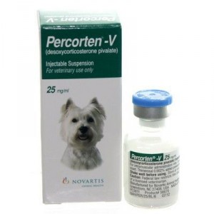 PERCORTEN-V (GB) Injection for Dogs 25ml/ml 4ml