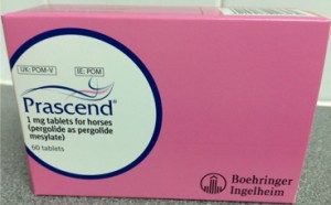 Prascend (Pergolide Mesylate) 1mg, 60 Tabs