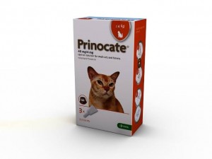 Prinocate 40/4mg Spot-on Solution Small Cat and Ferrets 3 X 0.4ml