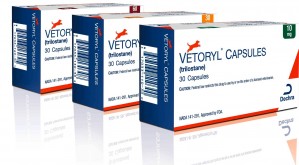 VETORYL 60mg, 30 Capsules