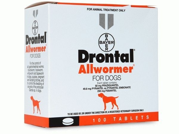 drontal allwormer side effects