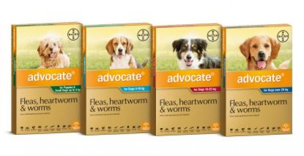 advocate spot on flea and wormer treatment for dogs