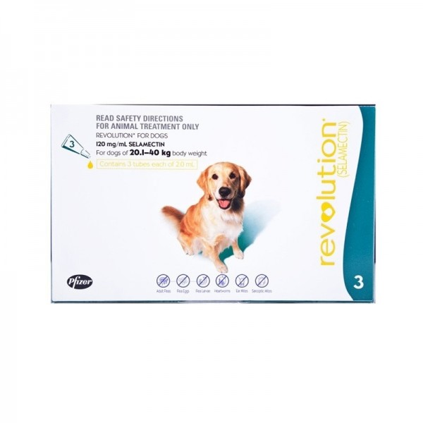 Order revolution for dogs clearance
