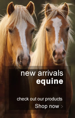 discount equine medications 