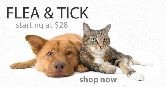 Discount Flea and Tick