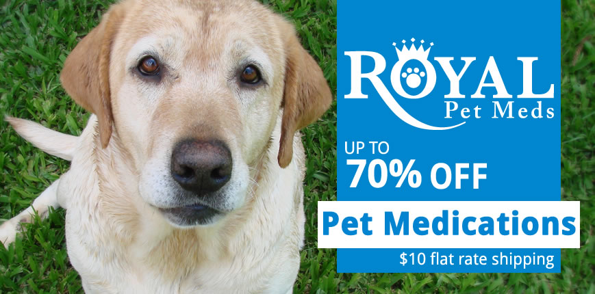 Pet Meds - Royal Pet Meds