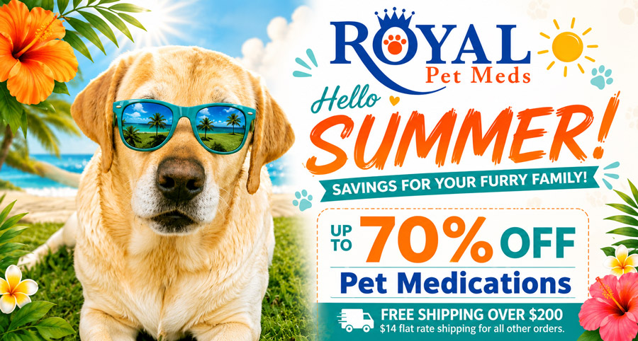 free shipping over 200 - homepage banner